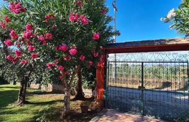 Villino Luce - Photo 31