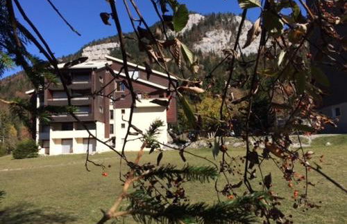 Studio cabine au pied des pistes, balcon sud - FR-1-515-67 - Foto 13