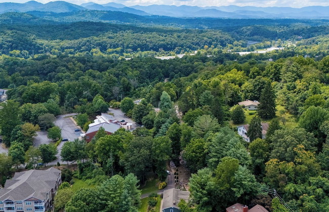 Asheville Sunset 10min to Asheville + Ping Pong - Foto 113