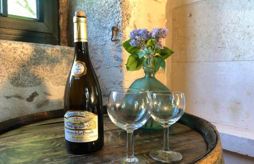 Chateau de la Preuille Gites - Foto 53