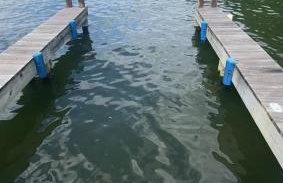 Lake Life, Cuz Beaches Be Salty - Foto 26