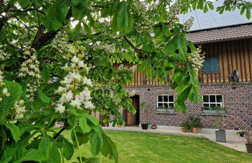Ferienwohnung Ewigkeit - 4-Sterne DTV klassifiziert - Foto 1