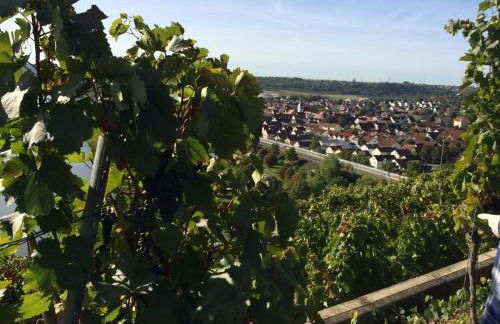 Weinbergblick - Foto 21