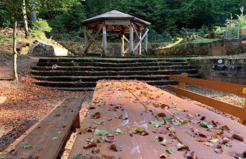 Holiday Home Trifels by Interhome - Foto 34