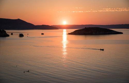 Panorama Plus - Photo 62