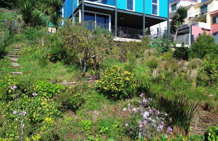 CasAmor - Romantic Ocean View Studio - Foto 37