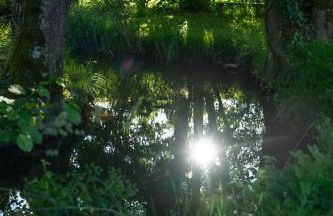 Ancien moulin avec Jacuzzi - Foto 17