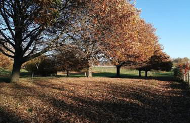 Gîte de la Châtaigneraie - Foto 32