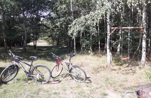 Dom na Kresach Grzybowszczyzna - Photo 32