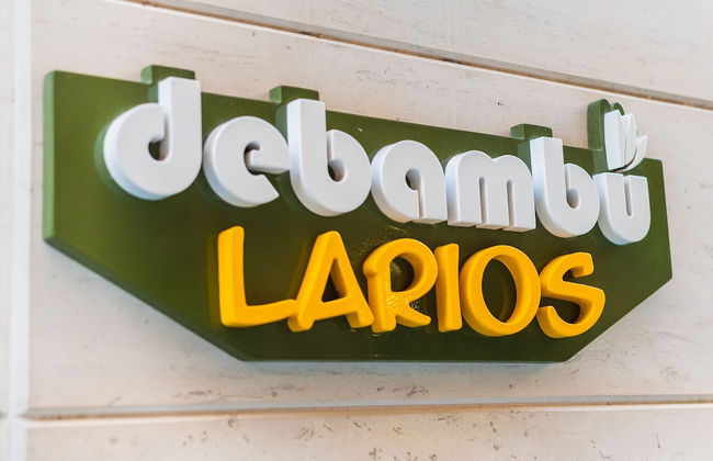 Debambú Larios - Foto 73