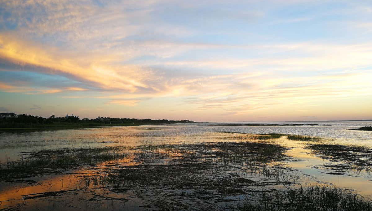 Vista de la costa de Southampton