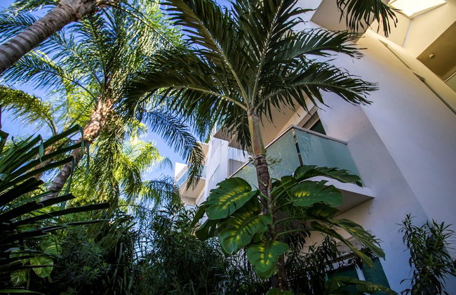 La Papaya Plus 303 by Vimex - Foto 17