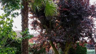 El Chalet de San Andrés - Foto 2, Garden, Garden view