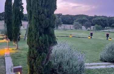 Más Figueres - Foto 51