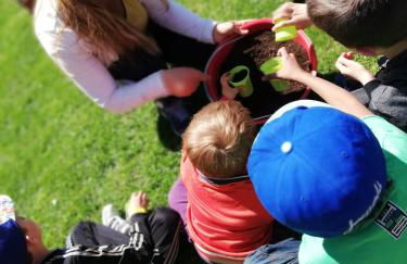 Terra Del Bosco Agriturismo - Foto 24