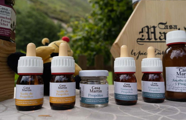 Visita a una granja de abejas con degustación de miel - Foto 8