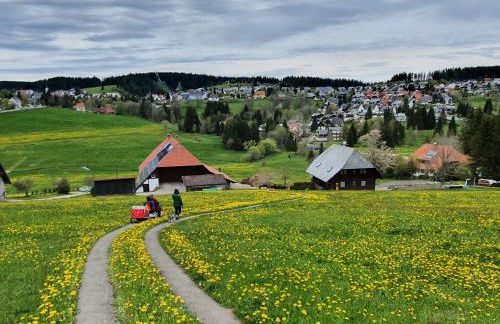 Ferienhaus Sonnengelb im Herzen des Schwarzwaldes - Foto 20