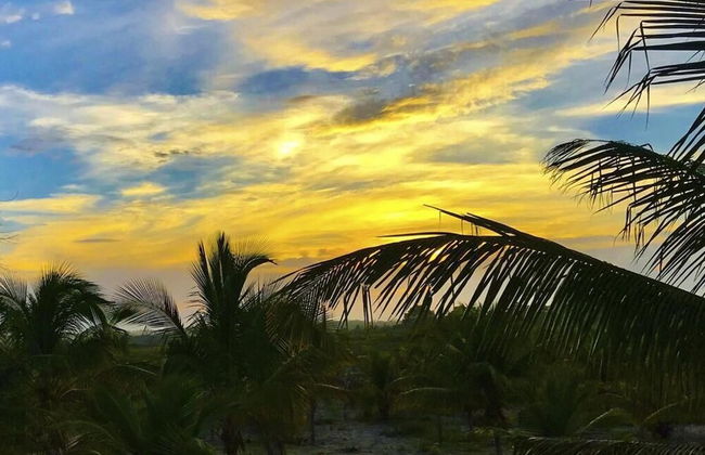 Fazenda Eco Jardim - Foto 42