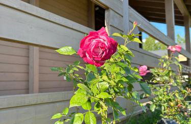 Dom Miłomłyn - Foto 32