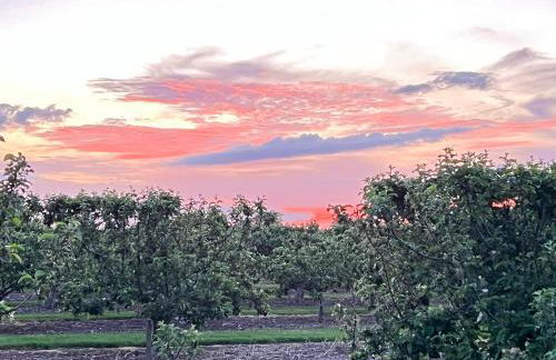 Aplanty Studio in the Orchard - Foto 18