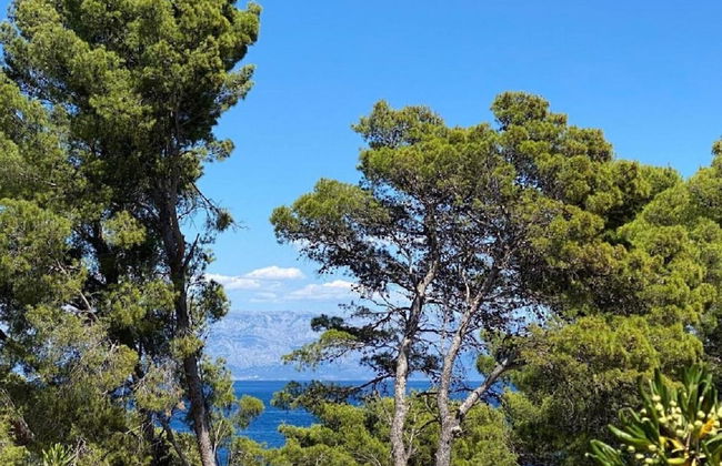 Dari - 120 m From sea - A2 - Foto 8