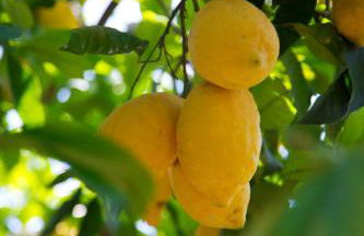 Agriturismo La Lobra - Foto 108