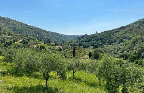 La Casa negli Ulivi, con piscina - Foto 10