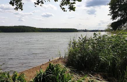 Ferienhaus Am Schlenken Lychen Uckermark - Photo 8