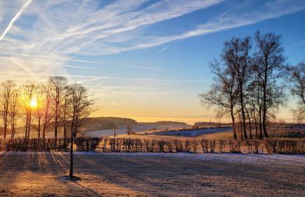 Modernes Familien Tiny House - Natur & Sternenhimmel inklusive! - Foto 23