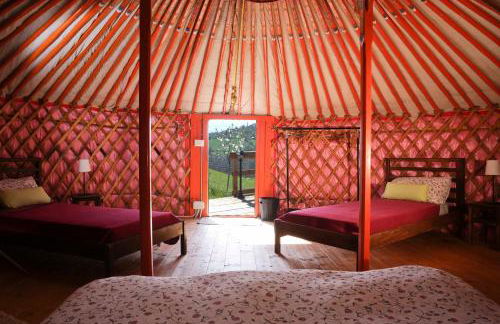 Società Agricola Cacigolara - Photo 11