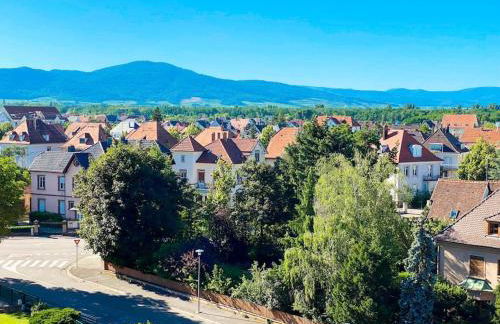 Le Belvédère Alsacien - Foto 44