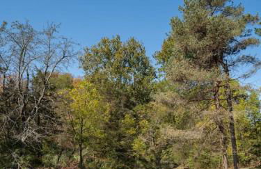 Willow Vale - Stunningly Designed Historical Icon with Hot Tub - Foto 15