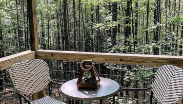 Secluded Treehouse Rental Ideal for Glamping in Alabama - Foto 4