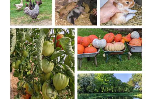 L'Angeberdière - Foto 30