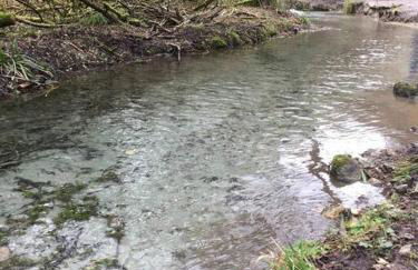Ground Floor Garden Cottage, near Stonehenge - Foto 18