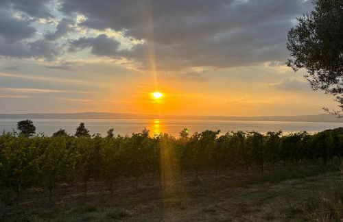 Il Piccolo Fienile - Foto 16