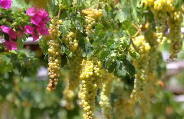 Venetis Luxury Apartments - Photo 29