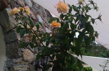 Le Petit Chateau - Foto 32