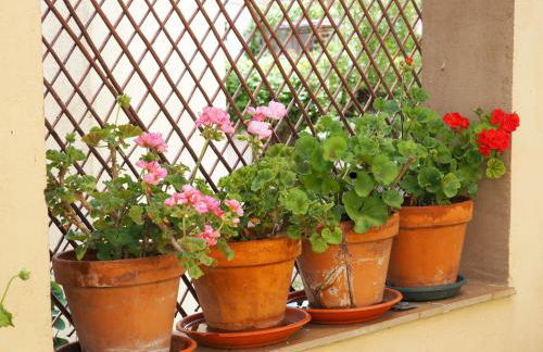 Casa De Nohales - Foto 22