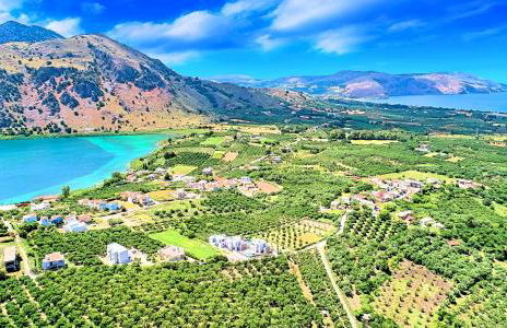 Eliomar Beachside Villa - Photo 8