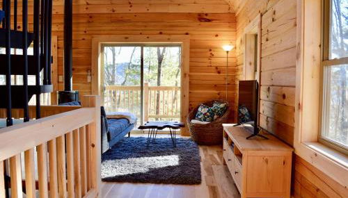 Luxury Log Cabin with Mountain and Forest Views near Asheville, North Carolina - Foto 5