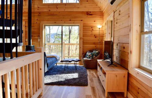 Luxury Log Cabin with Mountain and Forest Views near Asheville, North Carolina - Foto 5