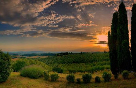 Torre Di Ponzano - Foto 15