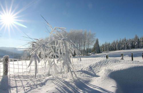 Landhaus Gnacke - Foto 61