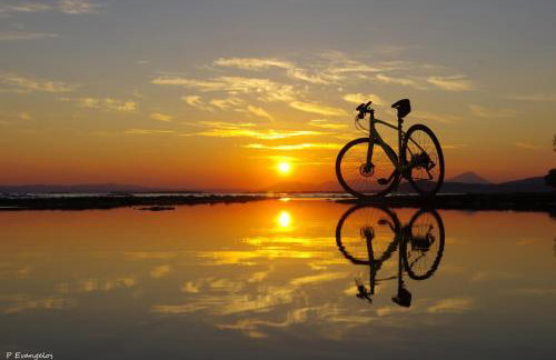 Garden house - Photo 52