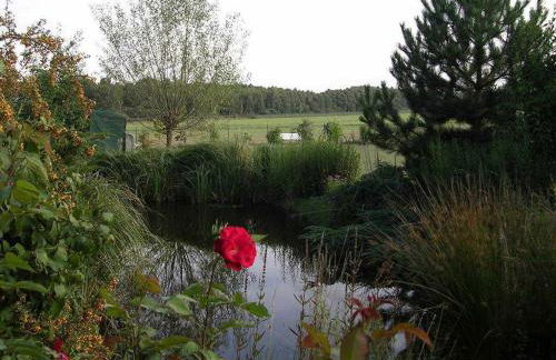 Ferienwohnungen "Christelhof" - Foto 49