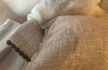 Arties Lodge - Photo 16