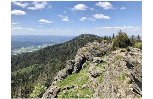 Sonnenblick Comfortable holiday residence - Photo 28