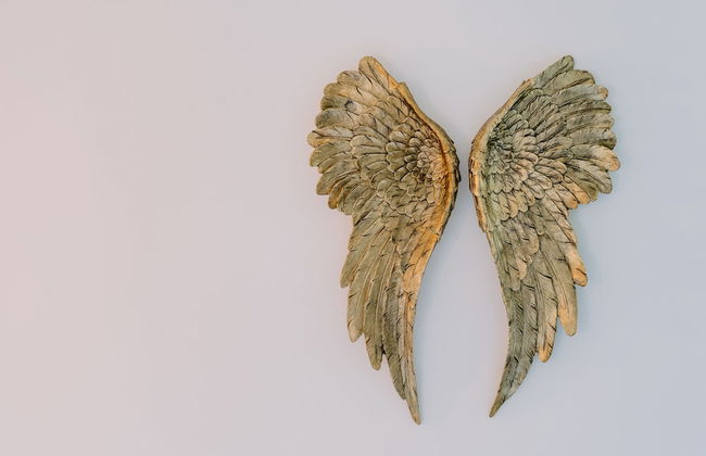 Coliving The VALLEY Portugal with Coworking Space open 24-7 - Foto 29