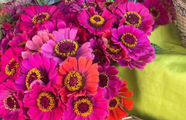 Nature Escape Charming Riverside House - Foto 8